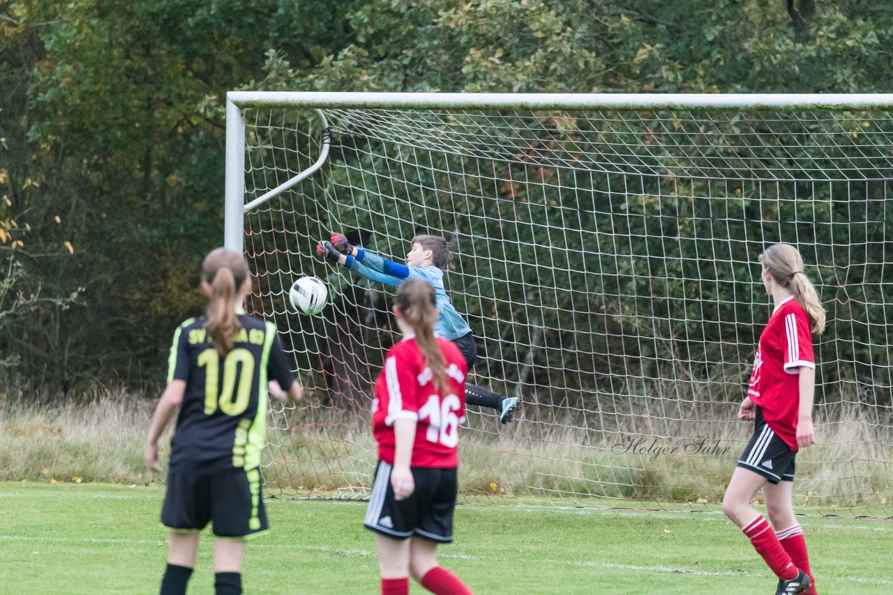 Bild 238 - B-Juniorinnen SG Mittelholstein - SV Frisia 03 Risum-Lindholm : Ergebnis: 1:12